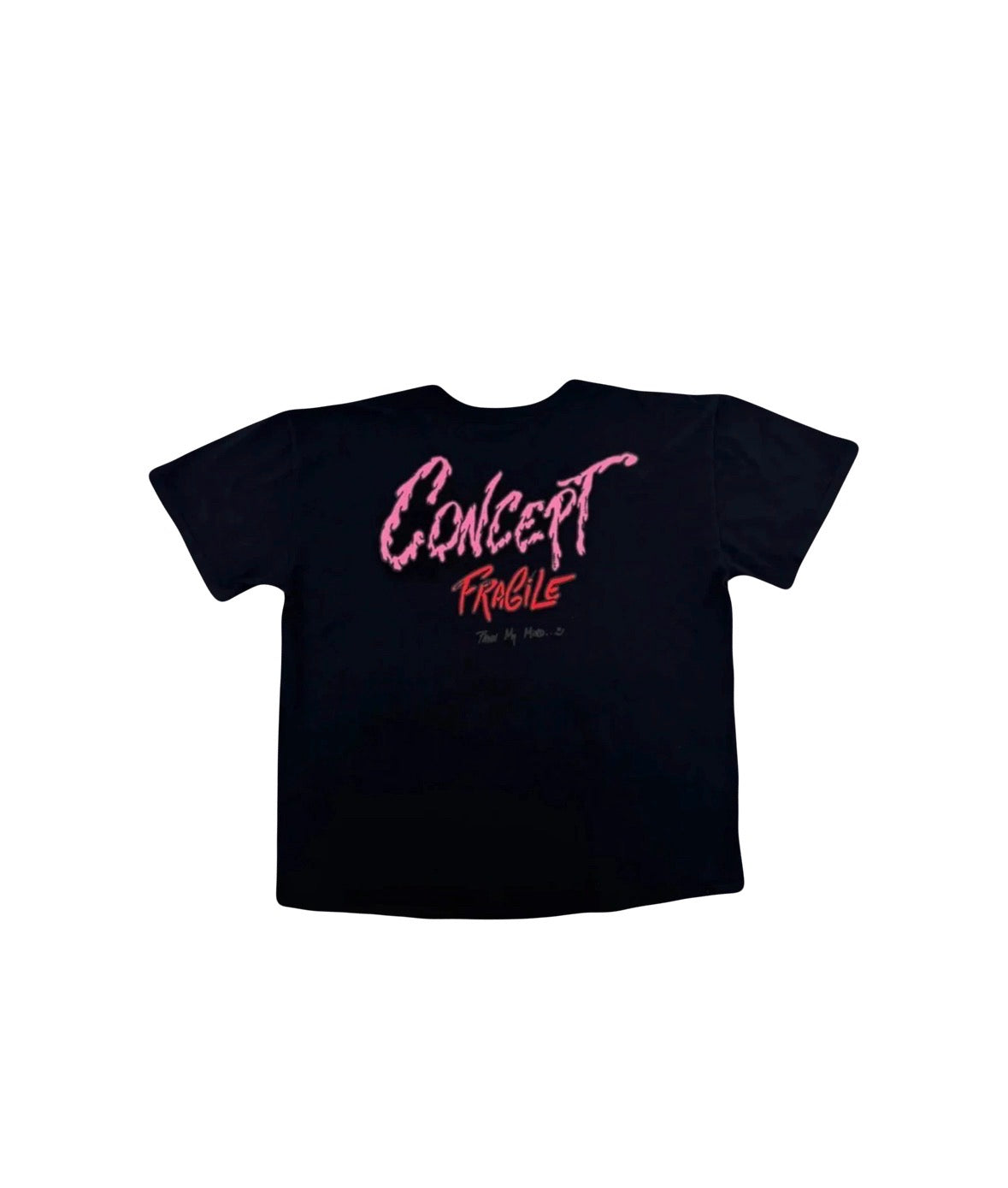 Anti Promo Matty Boy Concept Fragile T-Shirt Black