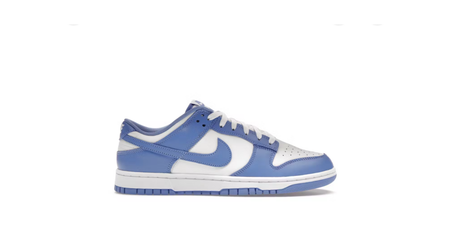 Nike Dunk Low Polar Blue